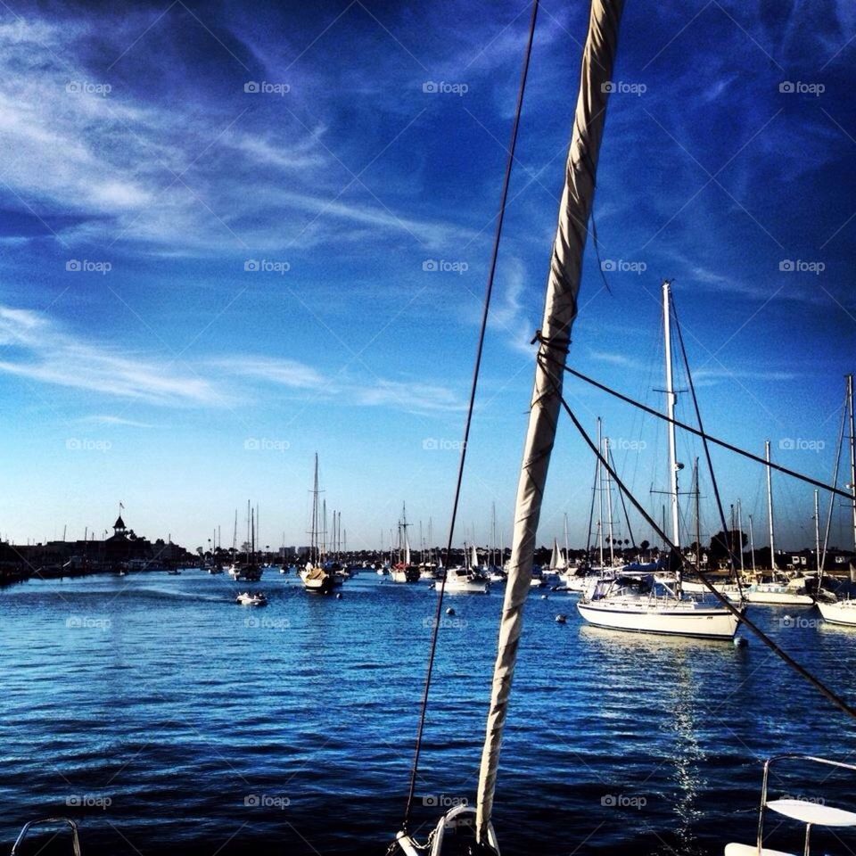 Newport Harbor