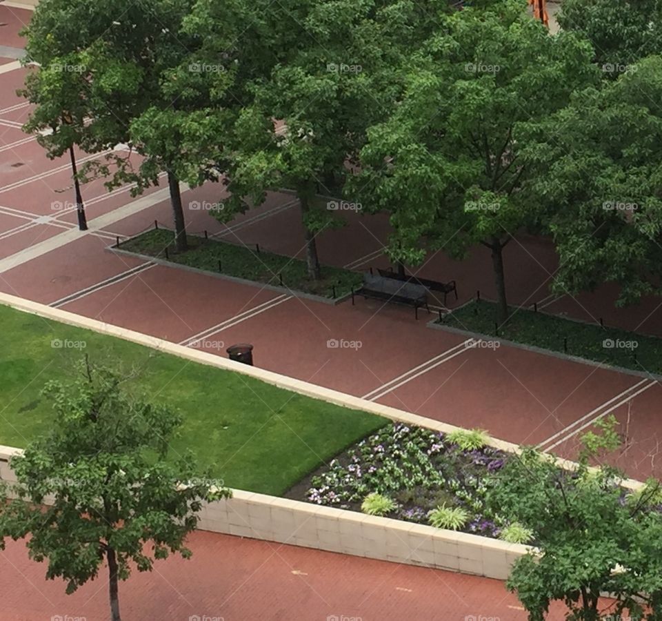 Urban Jungle Downtown