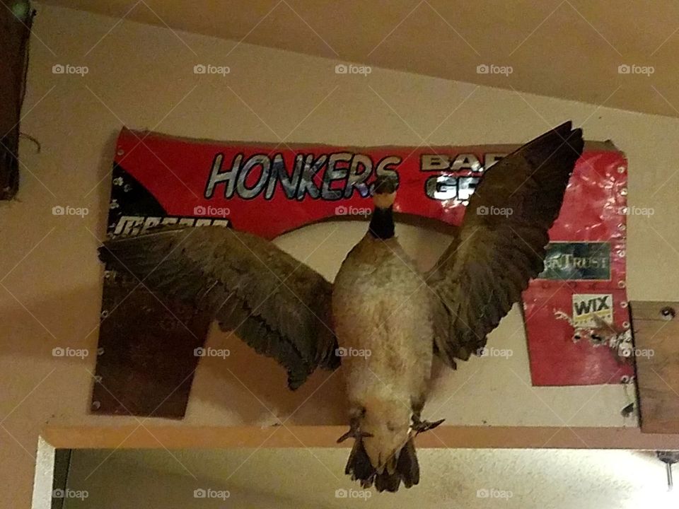 Bar and Motel, great food along the Wisconsin River