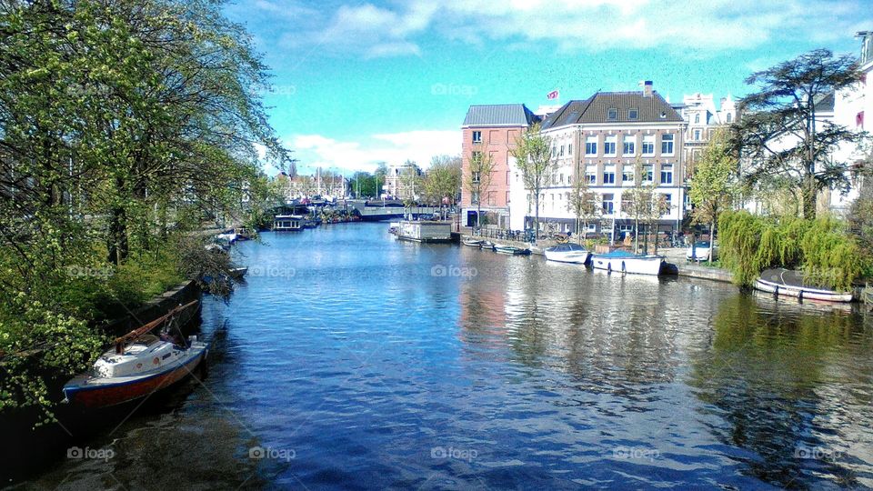 Waters of Amsterdam