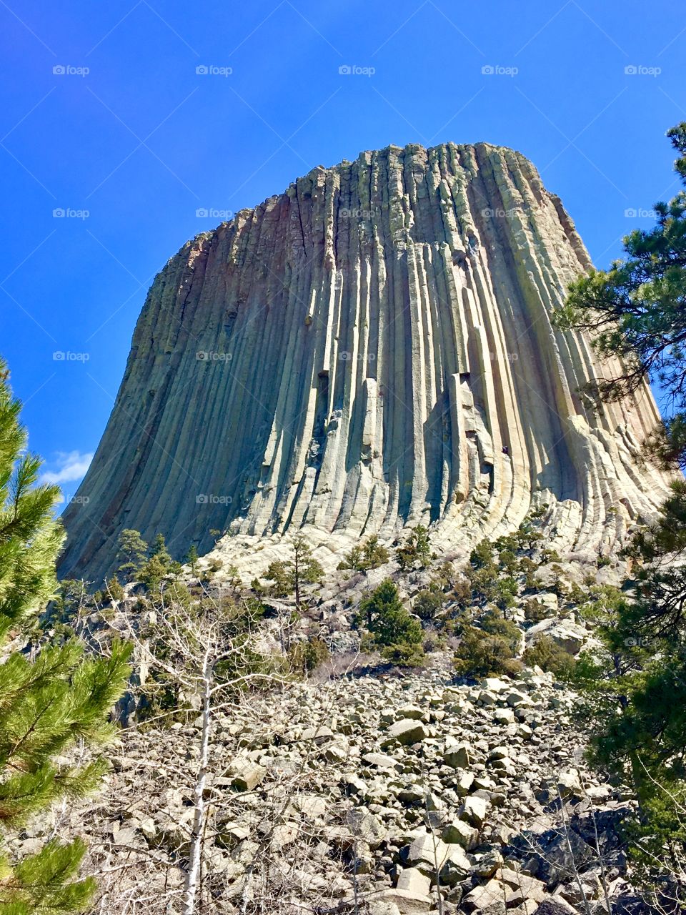 Devil’s Tower, WY