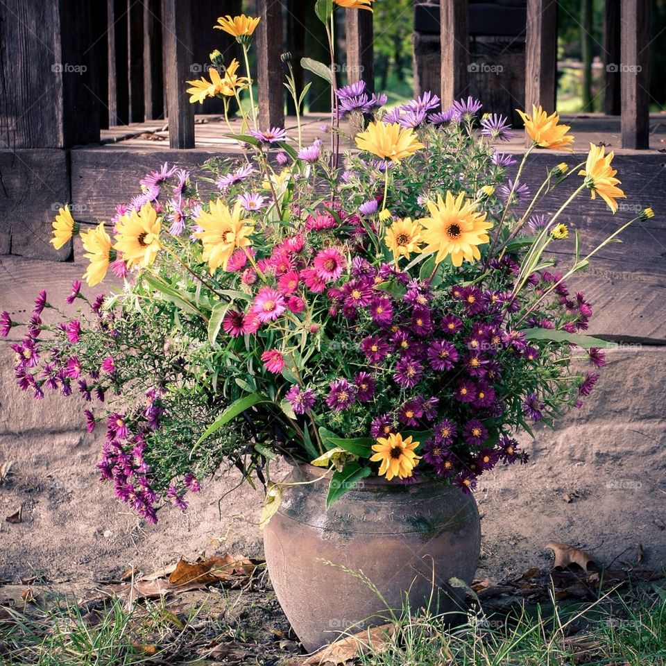 planter no people nobody plant by przemekklos