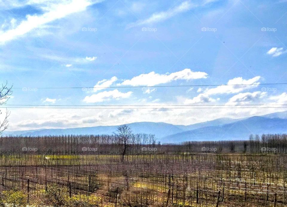 Beautiful outdoor field, mountains and neat trees in distance, maybe fruit trees in the farm, also all have a beauty of line.
beautiful landscape!