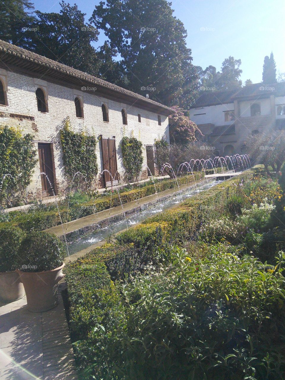 Alhambra gardens, Granada, Spain