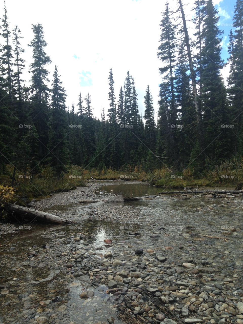 Hike at Healy pass, Alberta 