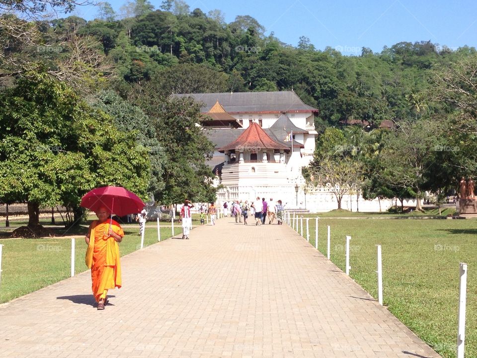 Monk walking 