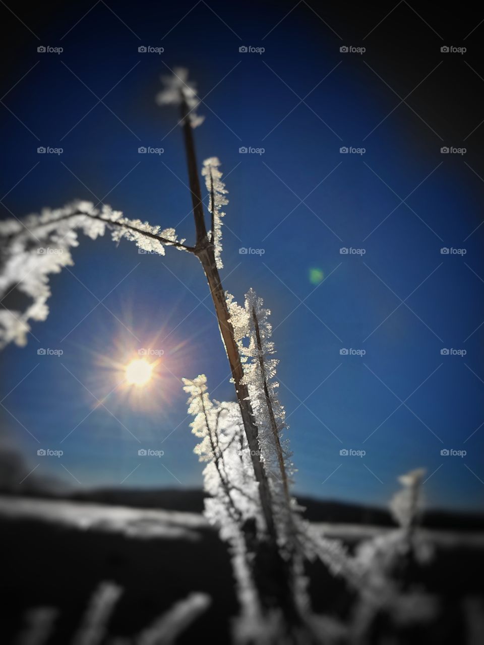 Dark Winter impressions