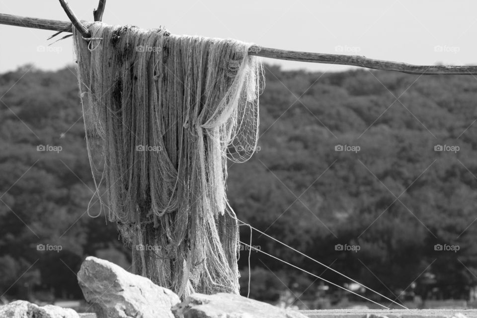 fishing net