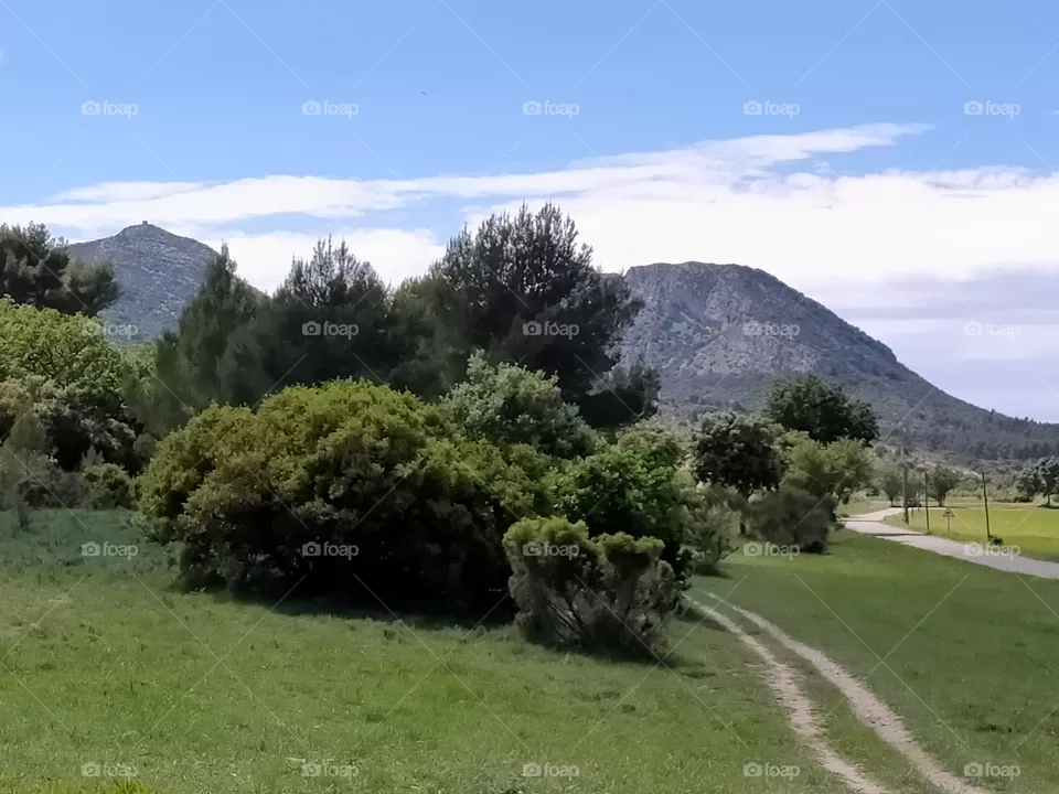 A green Walk