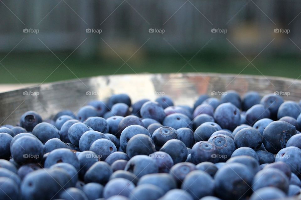 Tasty fresh blueberries ready to devour