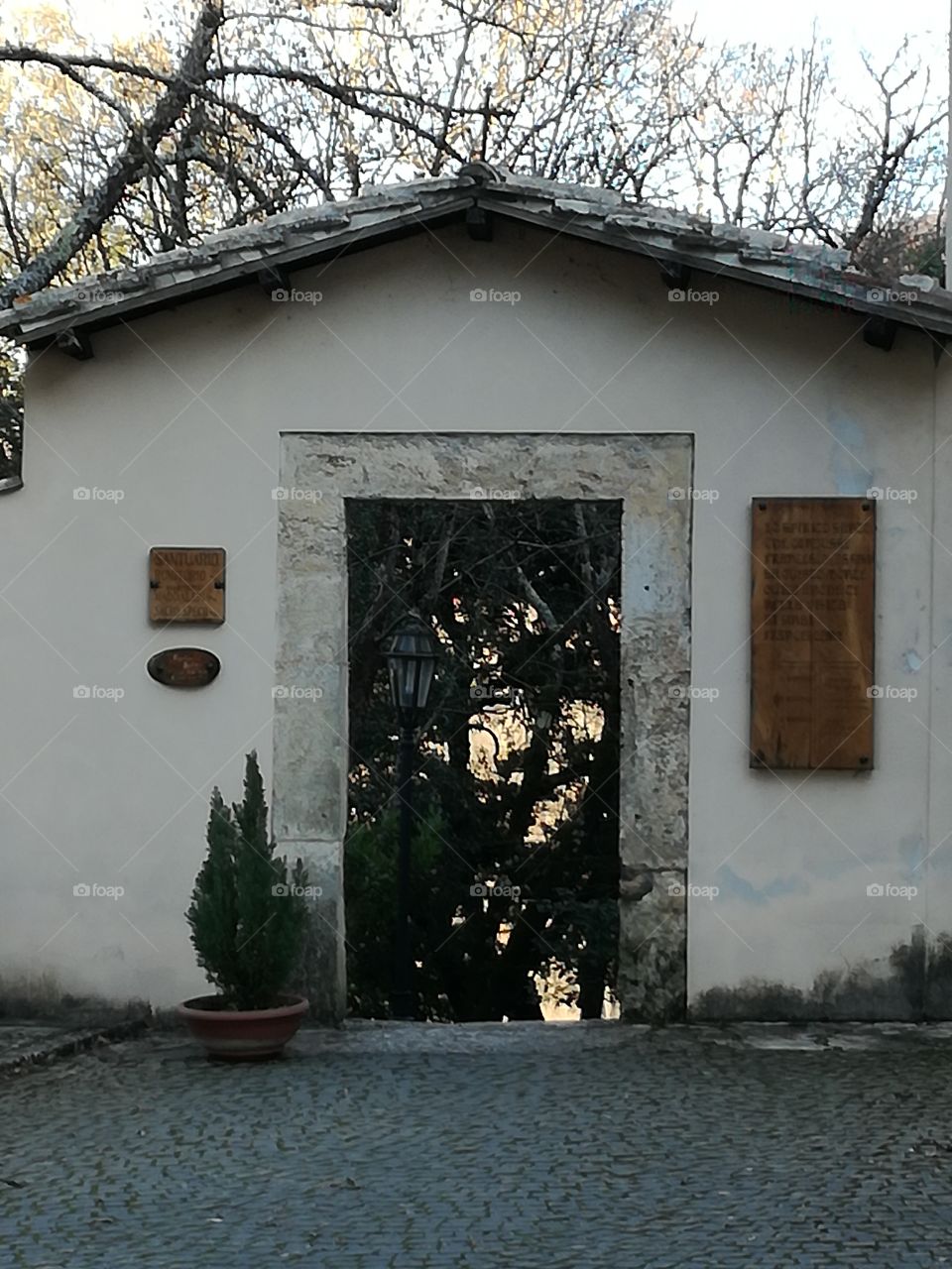 Forest view from St. Francis Sancuary
