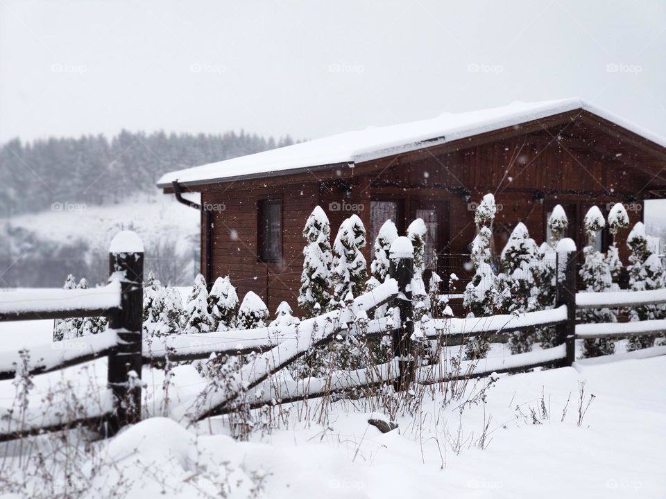 Winter around the wooden lodge