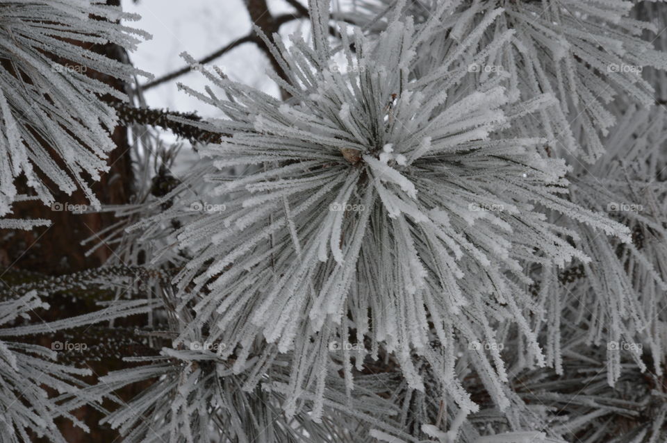 winter stories