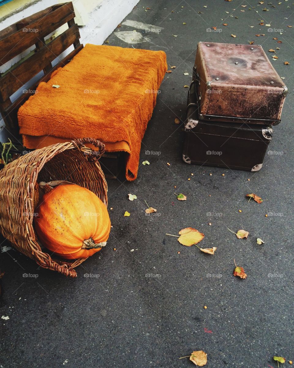 Pumpkin in basket and wooden bench