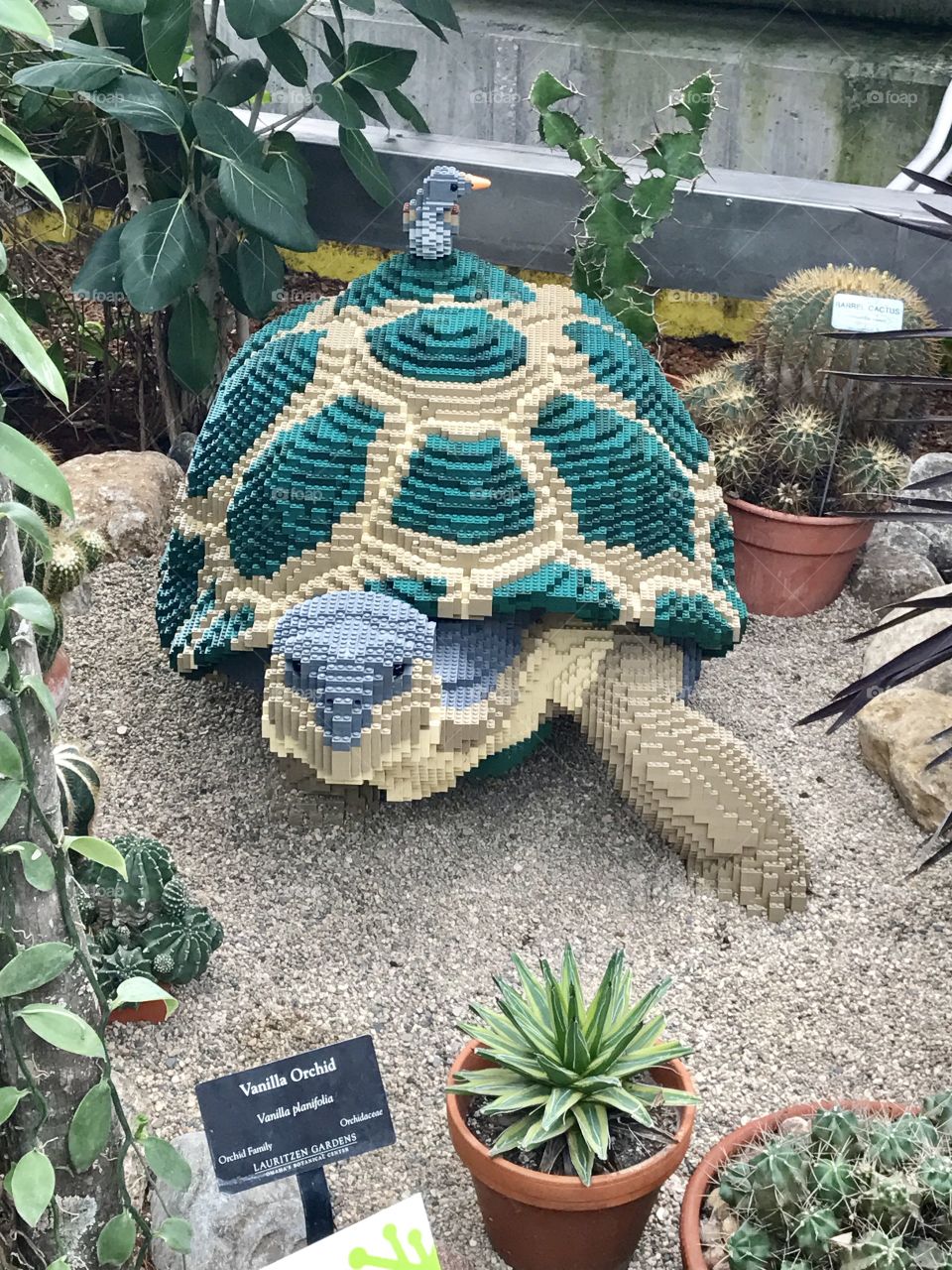 Turtle lego