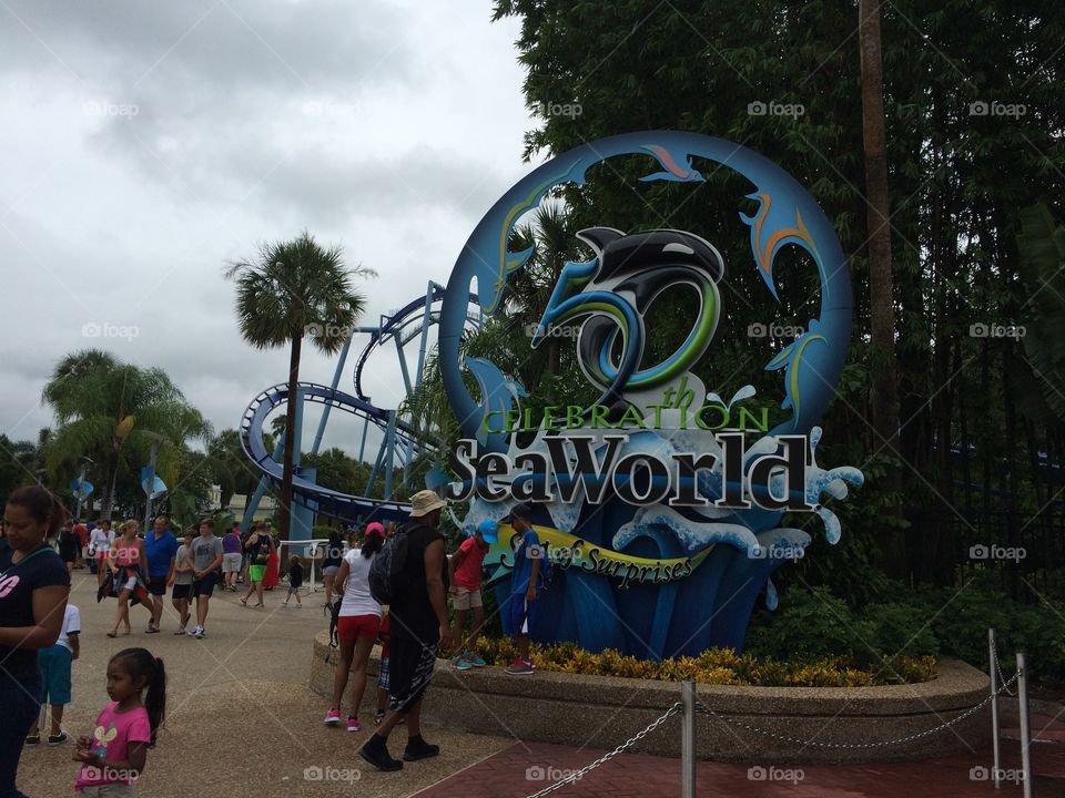 Sea world 50th anniversary 