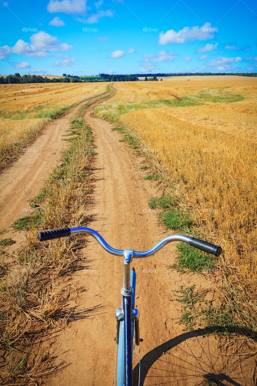 In the field on the bycicle