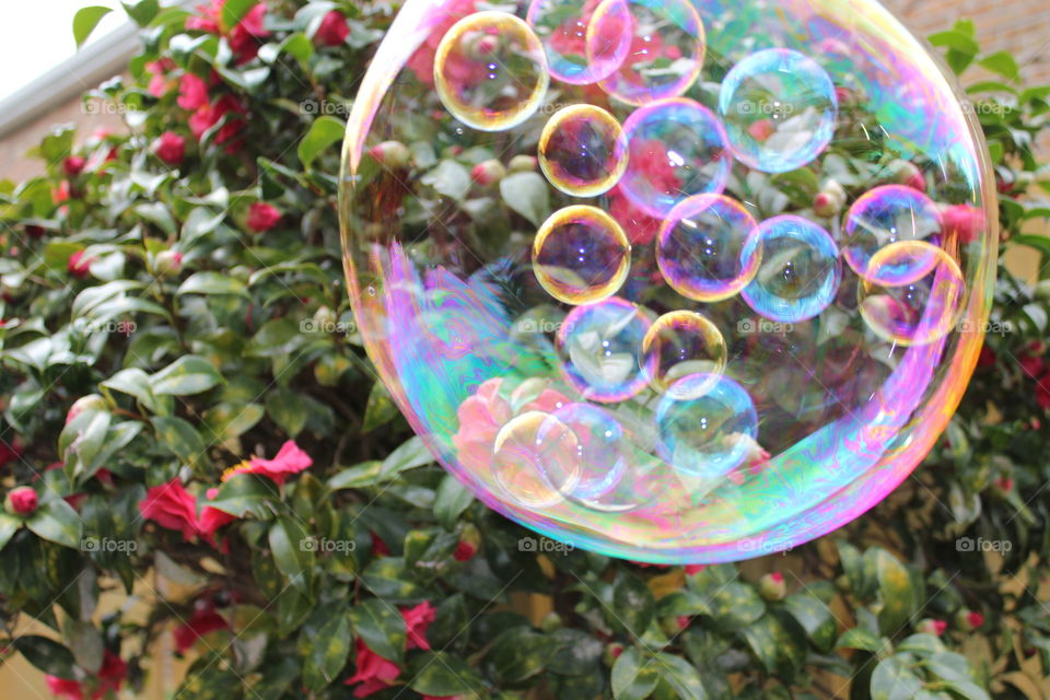 Close-up of soap bubble