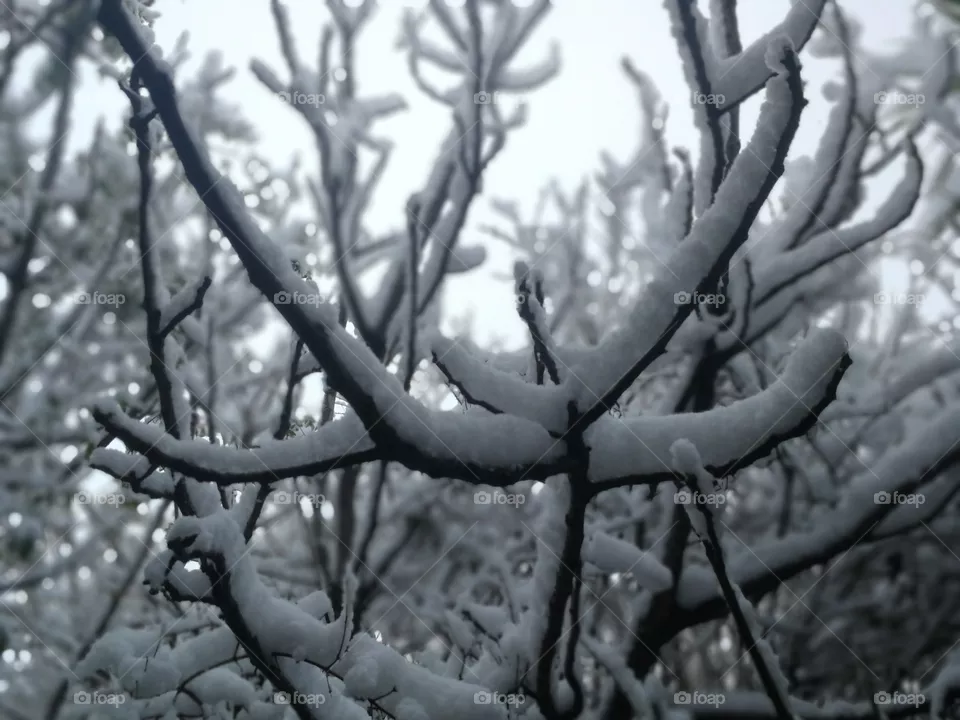 Snow