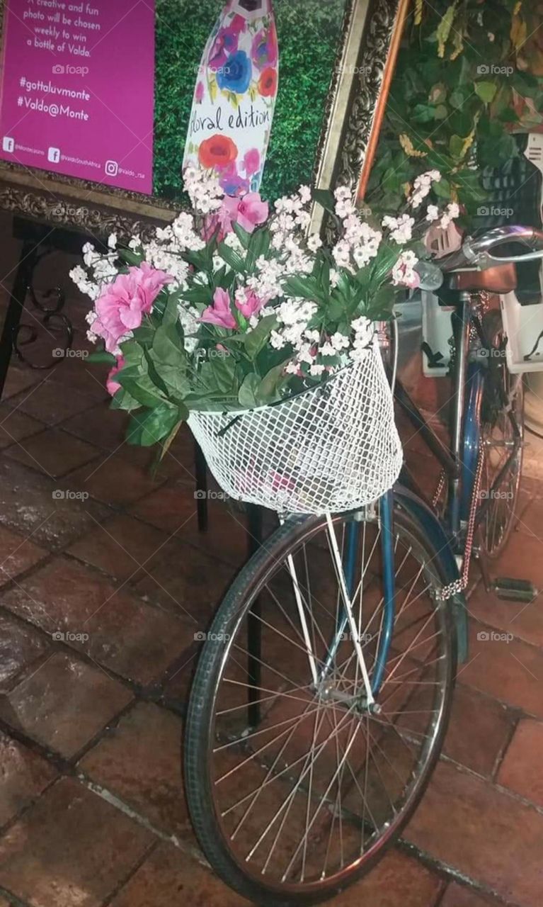 lone standing bicycle