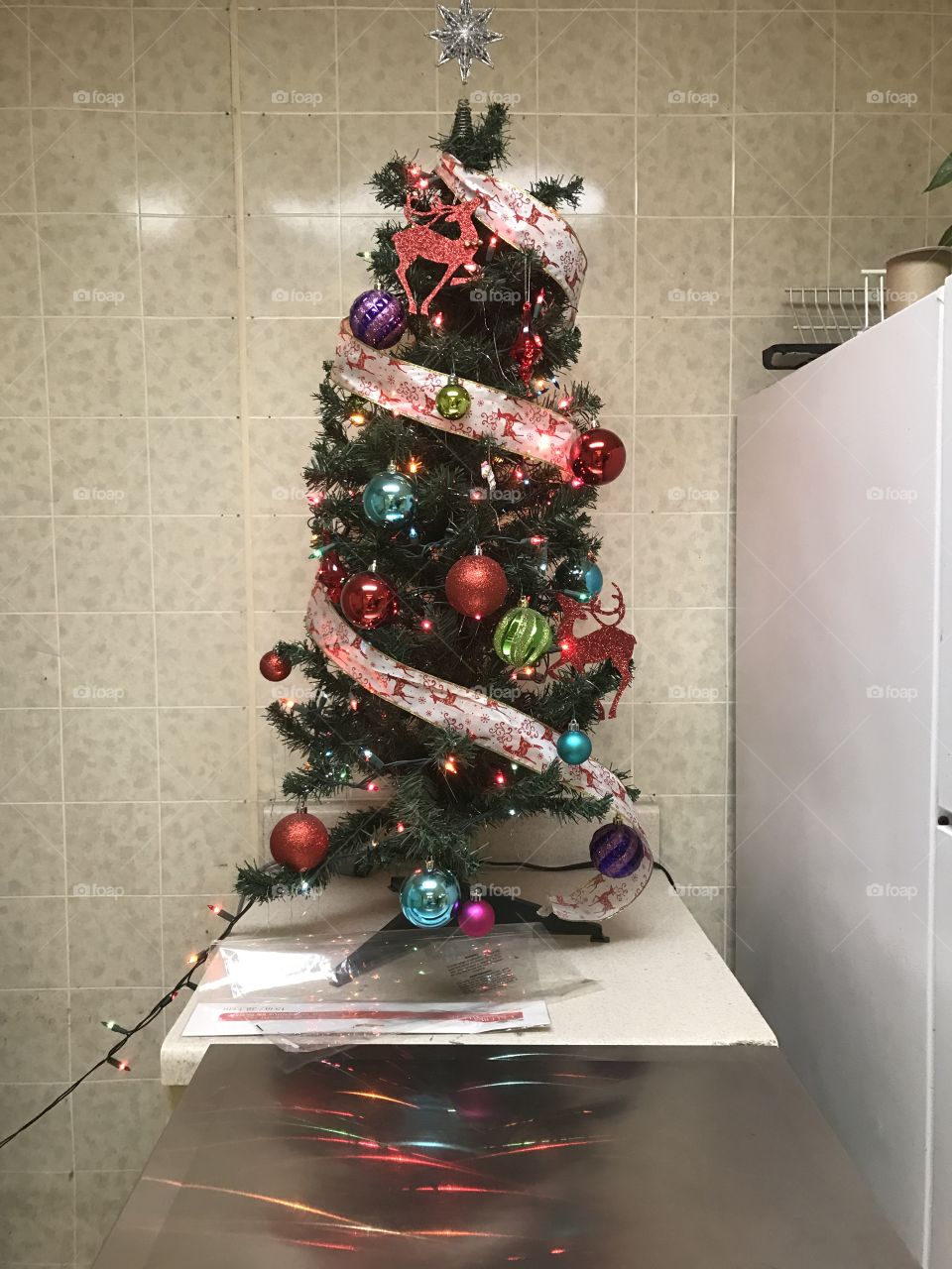 Small Christmas Tree 