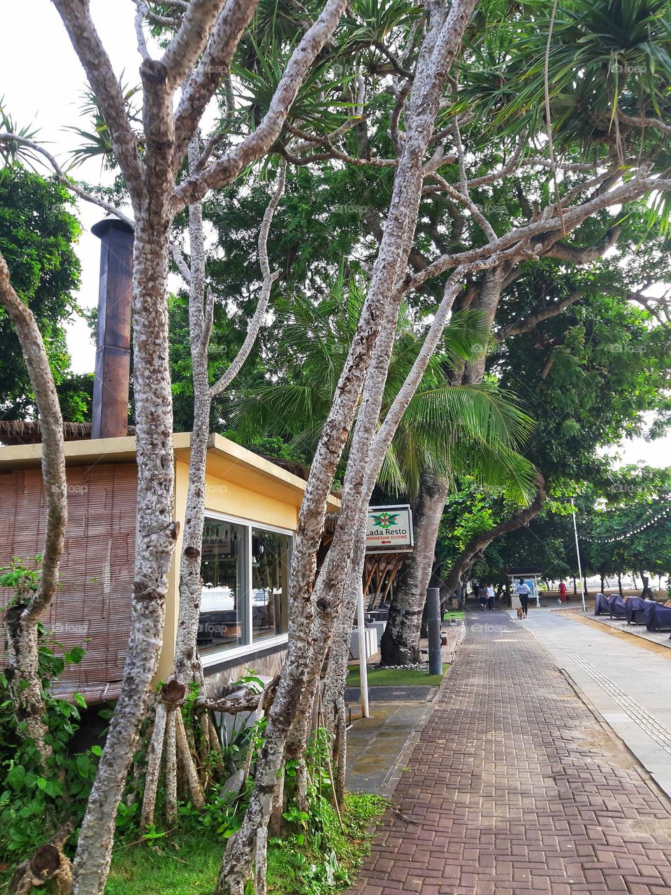 a mini store, trees, and a pathway