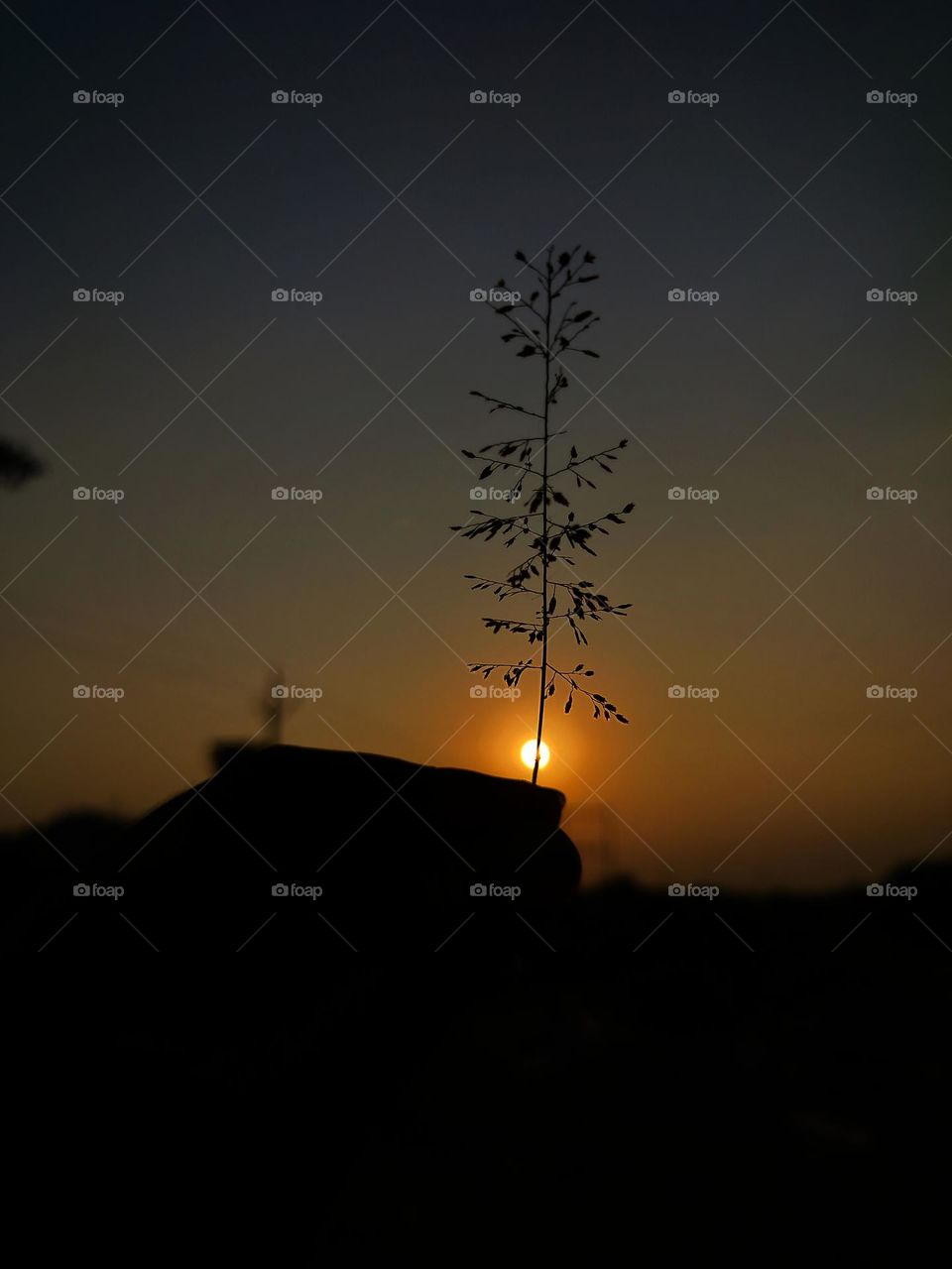 sunset 🌅