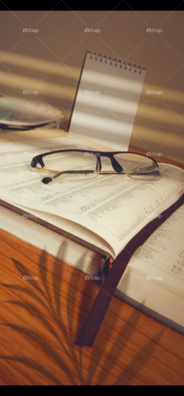 Fly High with Knowledge!