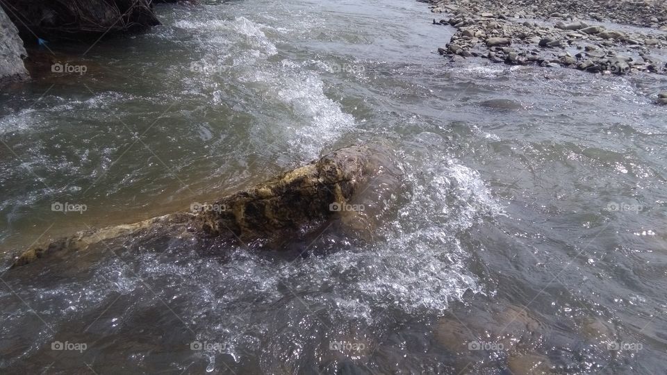 River Nature