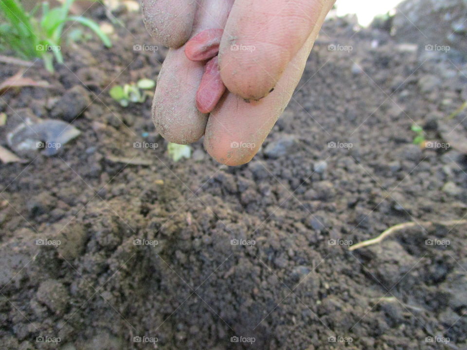 Soil, Ball Shaped, Ground, Growth, Little