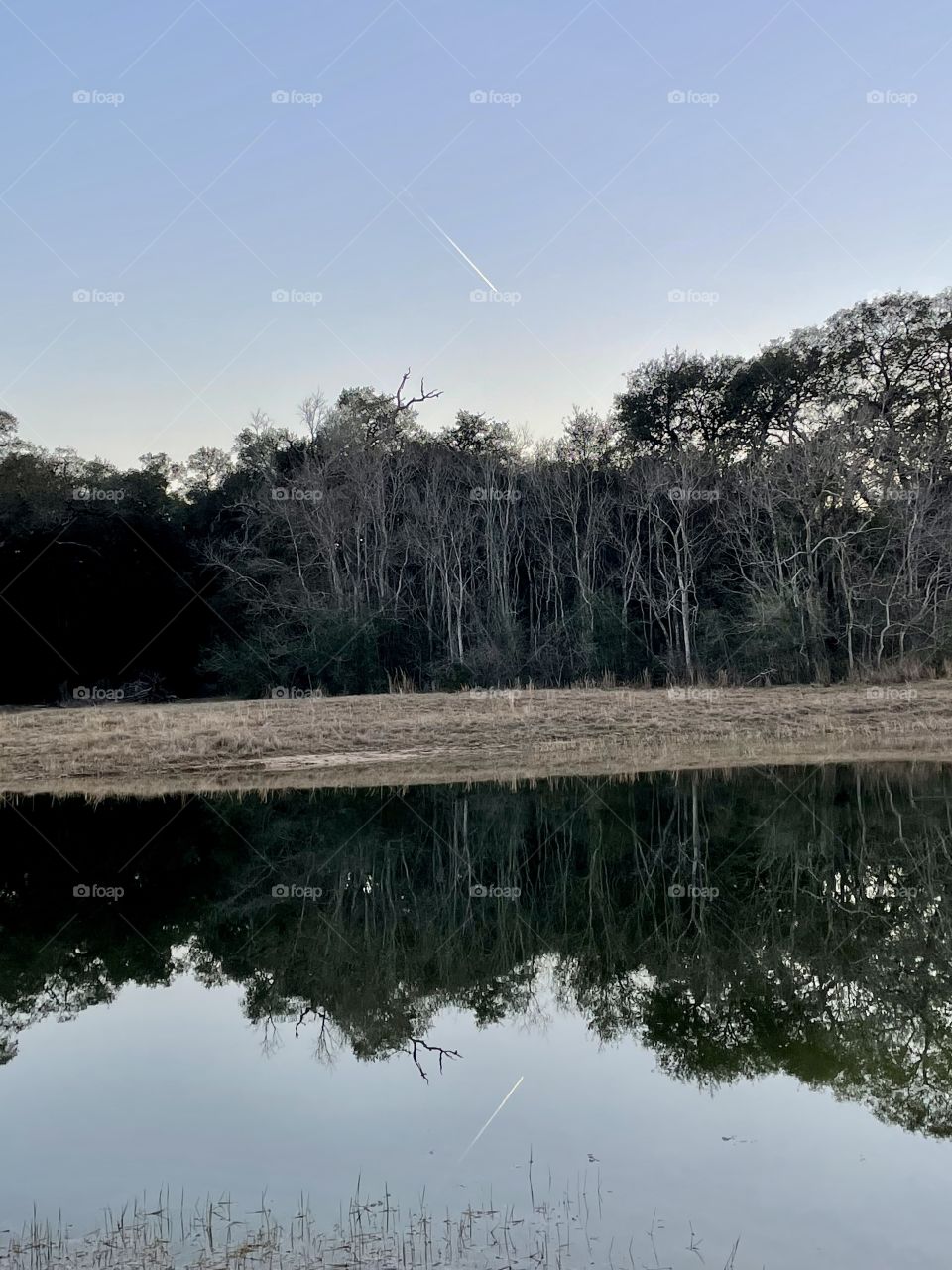 Fishing on the big pond last night for bass. Caught the reflection of the trees and the plane in the distance! And also caught some bass 👍🏻