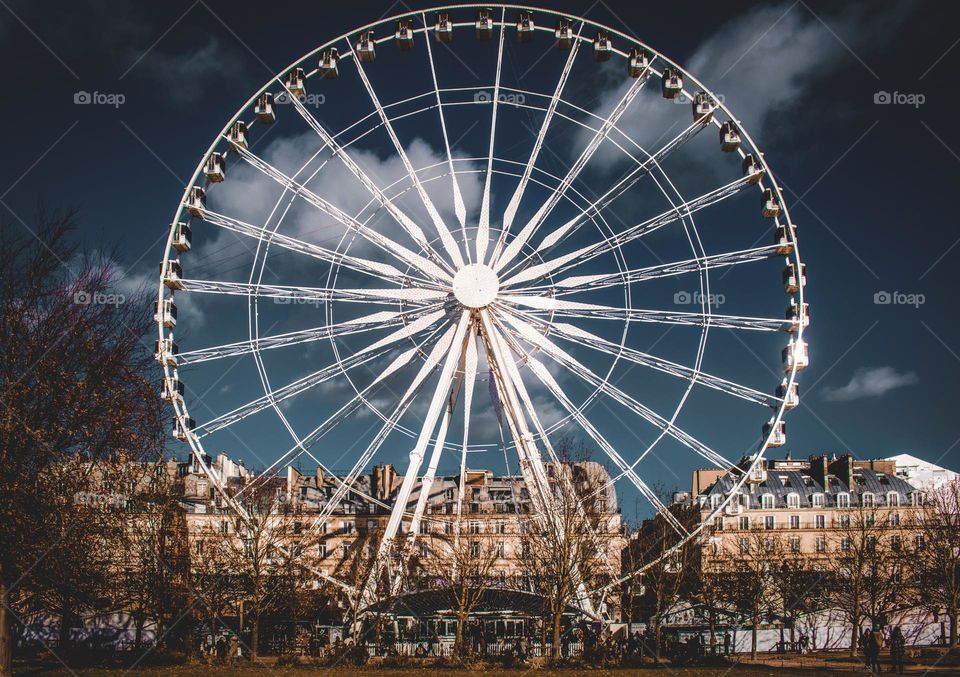 Paris eye
