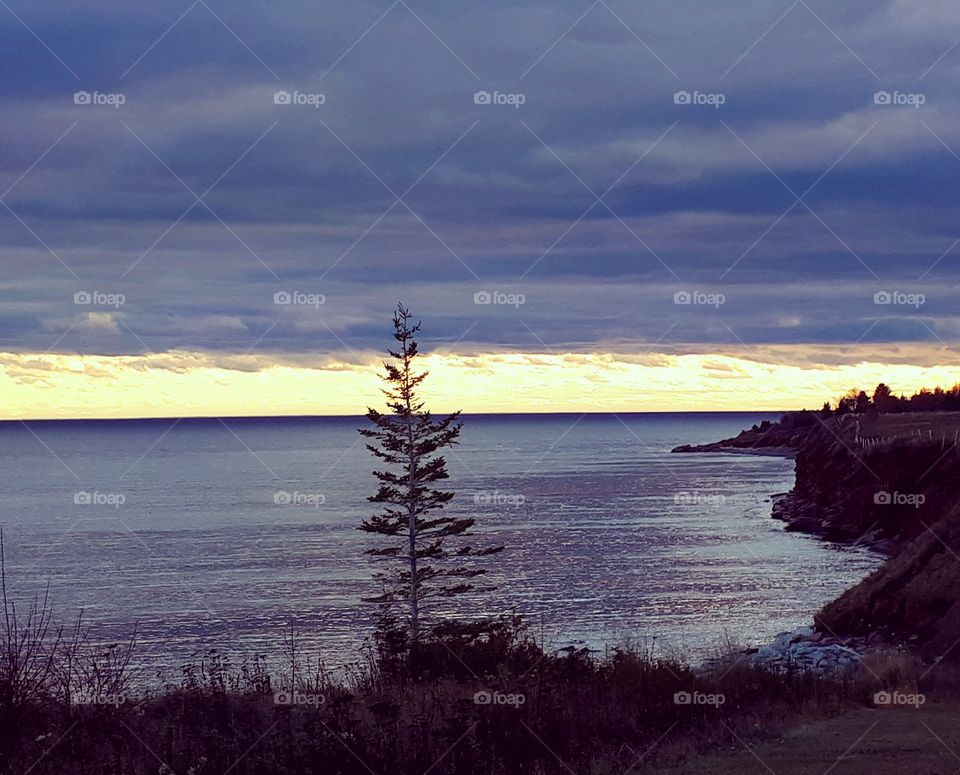 beautiful scenery along cliffs showing the ocean a cloudy sky and trees