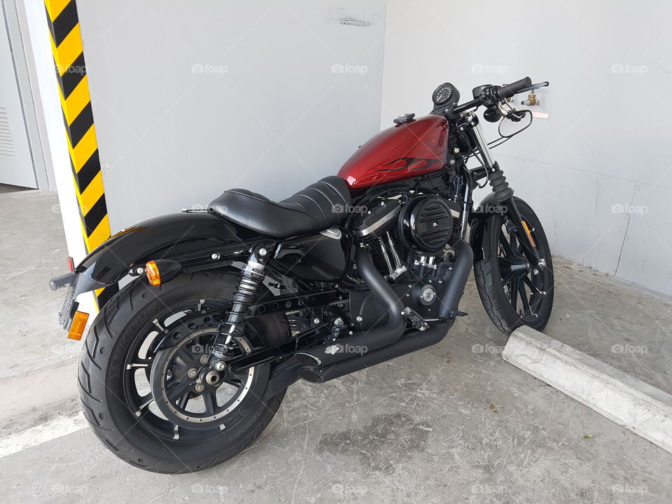 Harley Davidson sportster iron 883