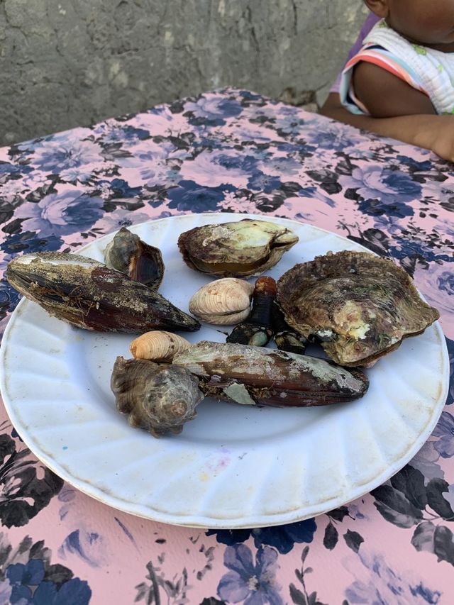 Appetizers 
