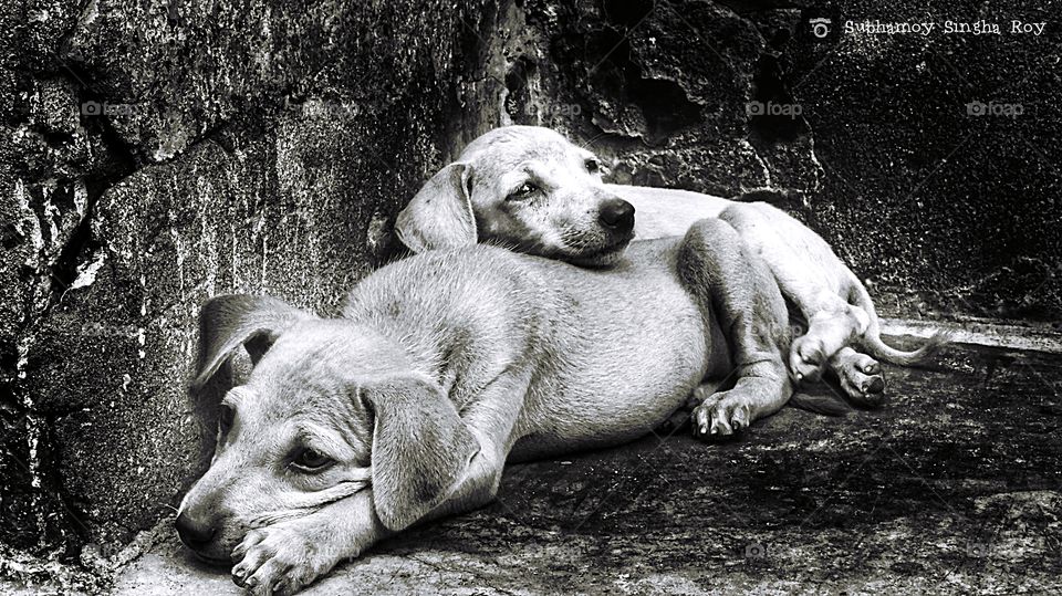 There is nothing as powerful as mother's love, and nothing as healing as a child's soul