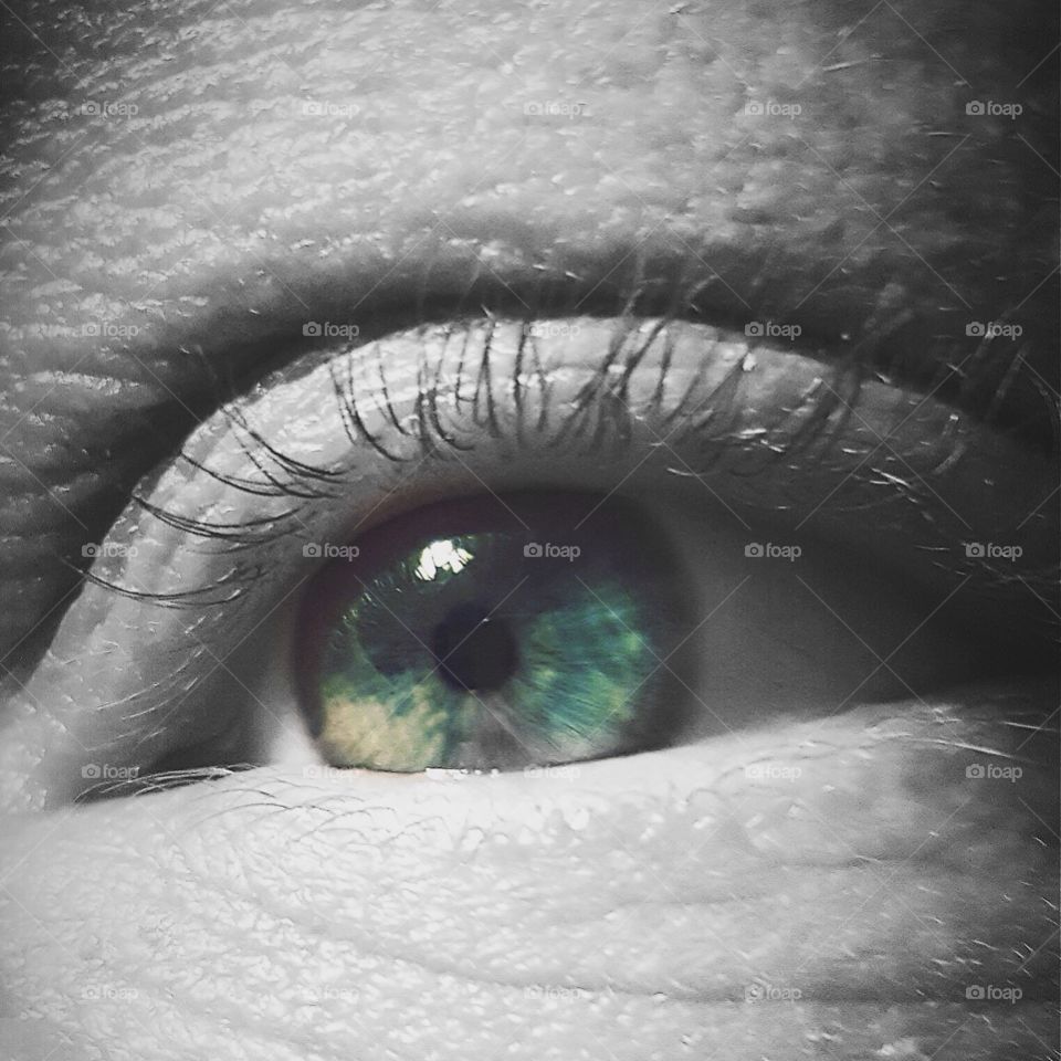 Eye of Reflection