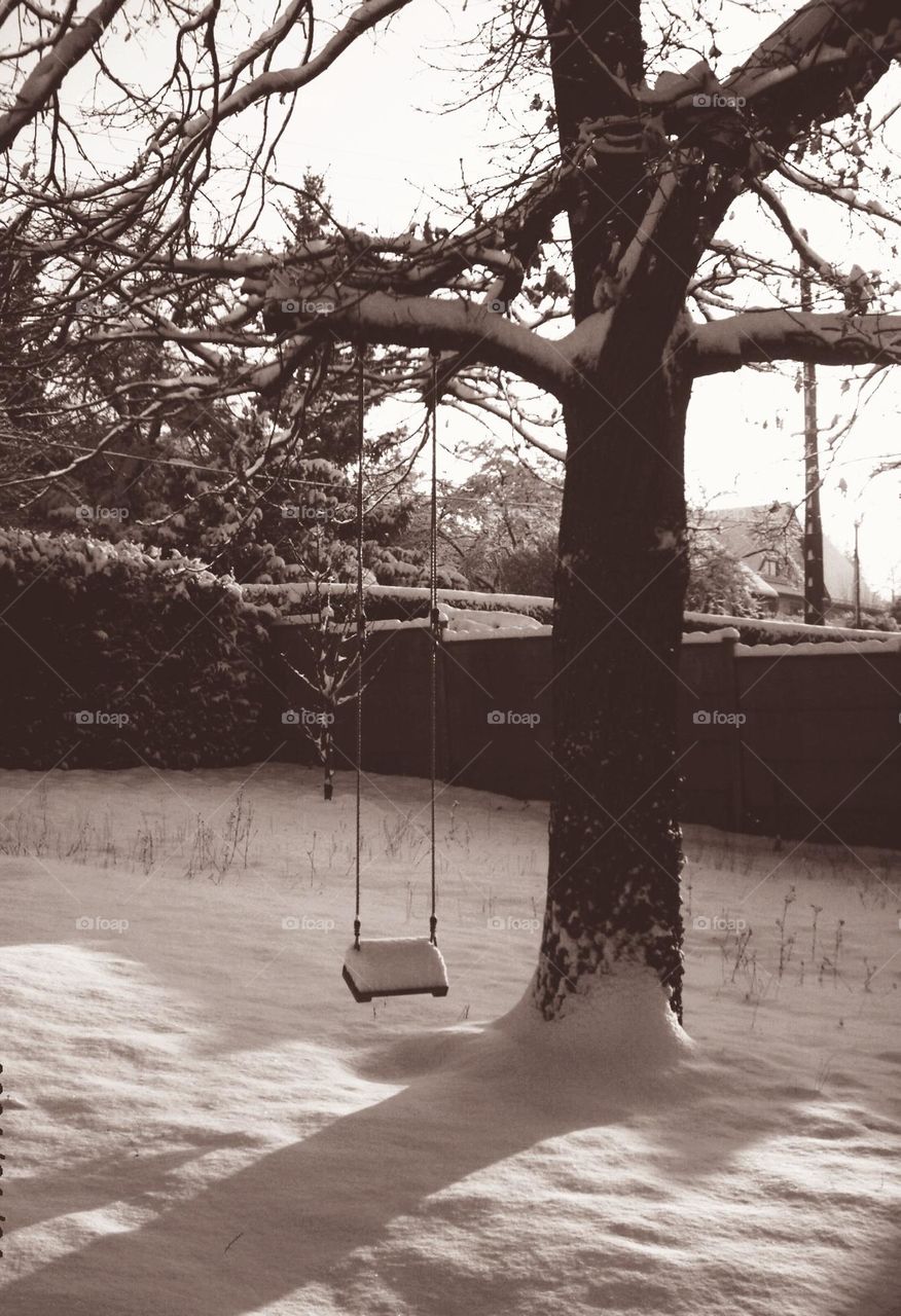 Sepia shot of an old swing hang on an oak tree and covered with snow