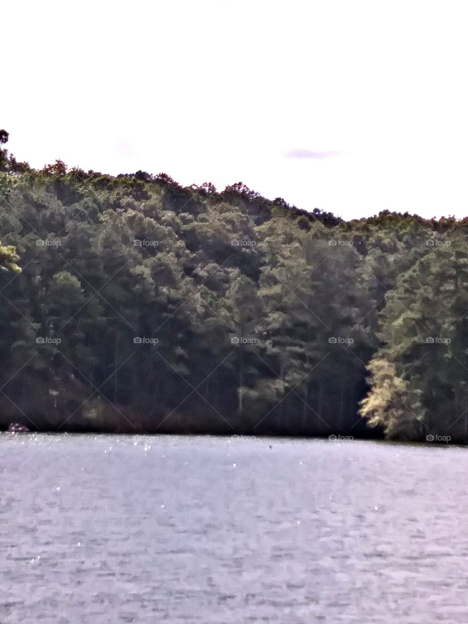 Lake Allatoona