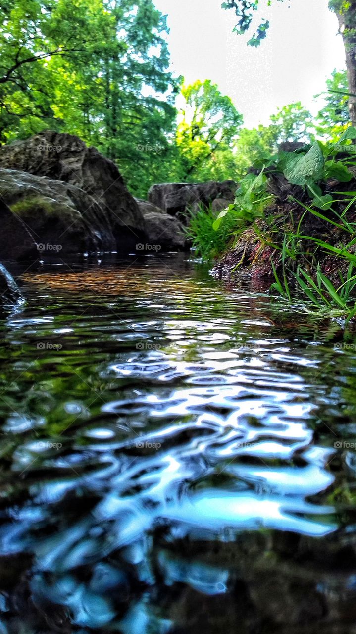 The beauty of nature