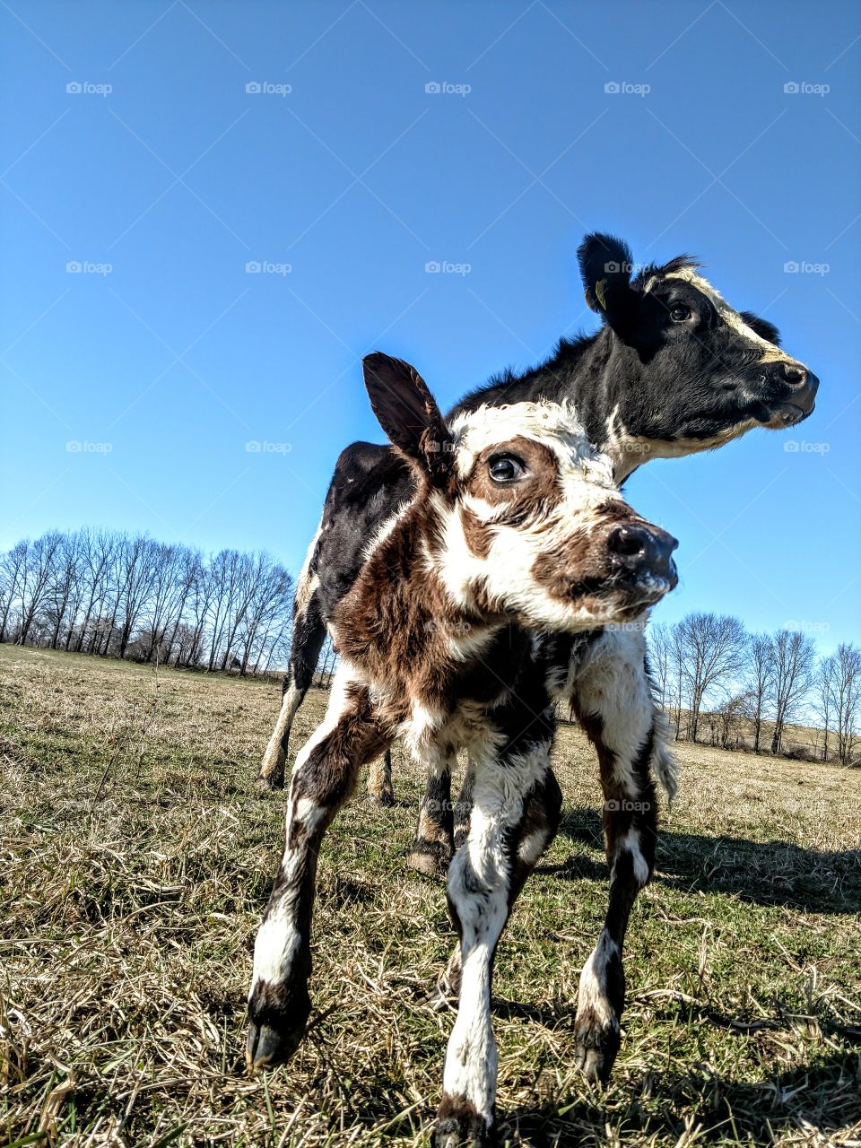 Molly watches Molly jr take 1sy steps