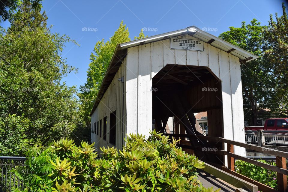 Covered Bridge