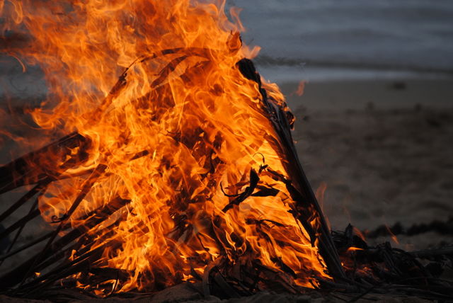 Camp fire in the night