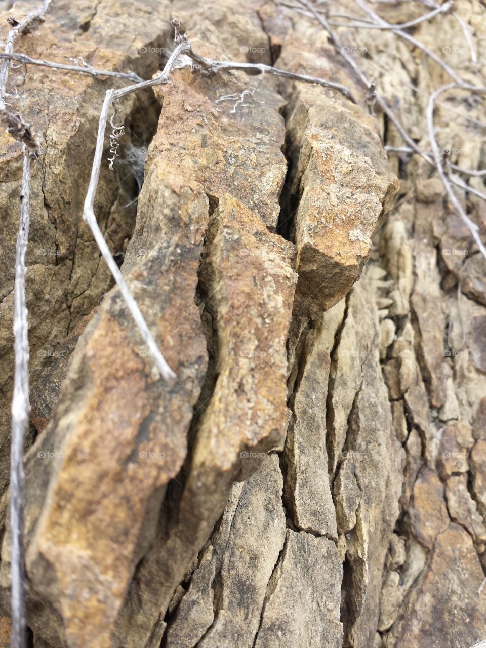 Shattered Limestone