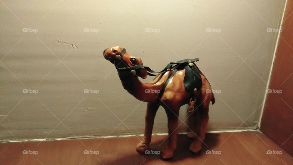 Wooden Camel Design photo