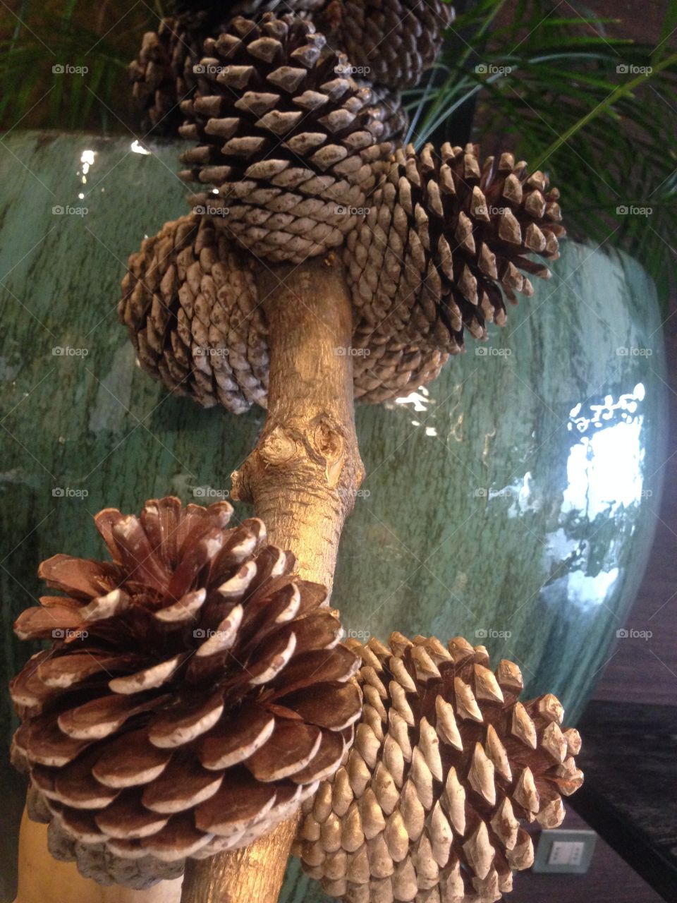 decorative pine 