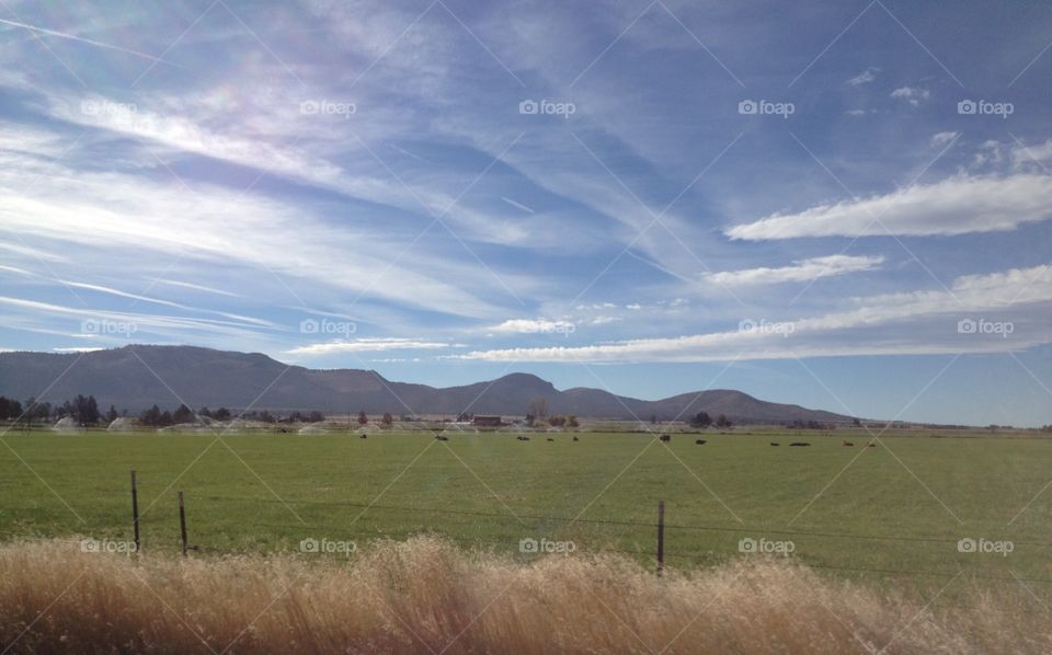 Fields and hills near Prineville