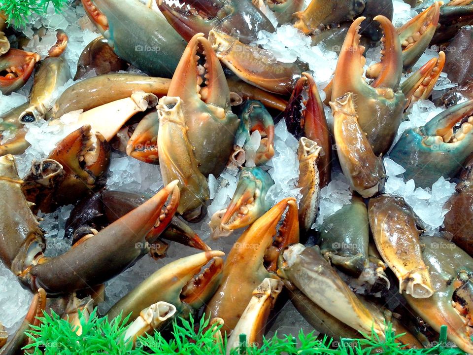 crab claws or crab pincers. crab claws or crab pincers sold at a supermarket