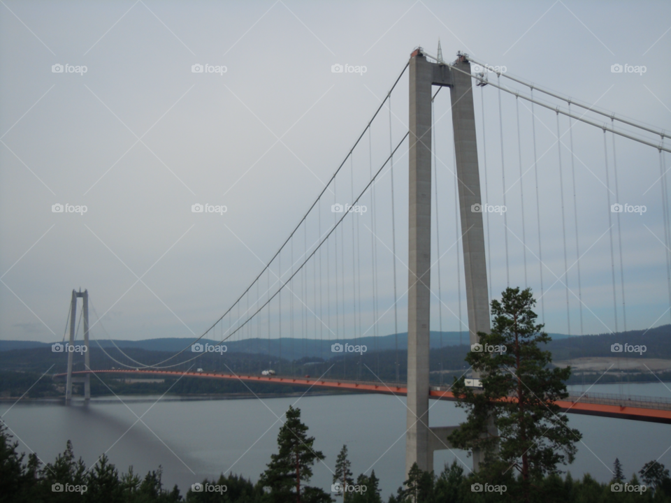 water building bridge traffic by MagnusPm