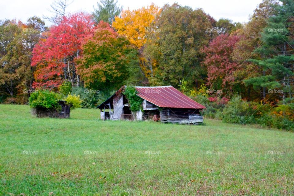 Old barn